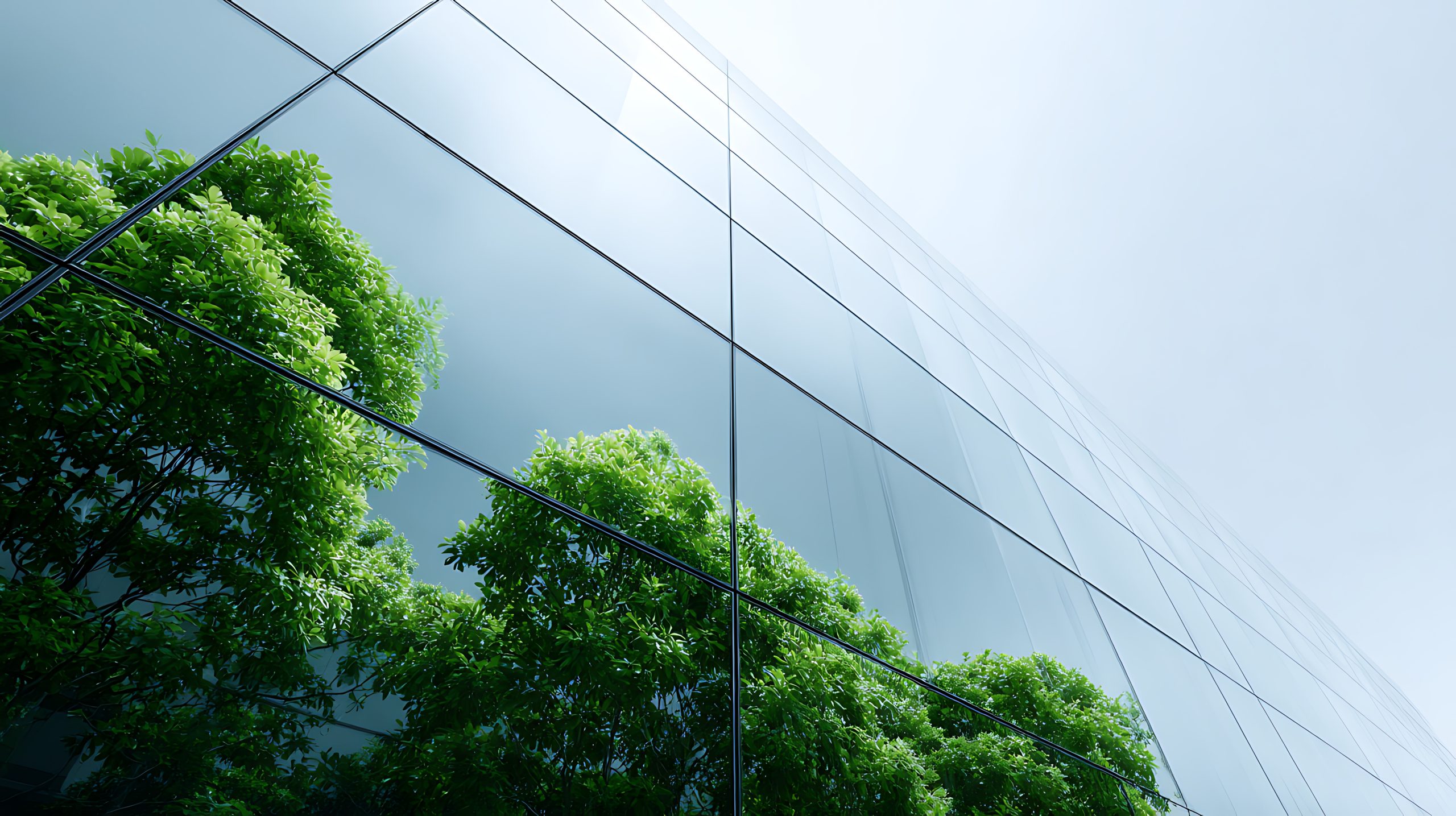 Cómo adaptar tu empresa a la normativa de eficiencia energética