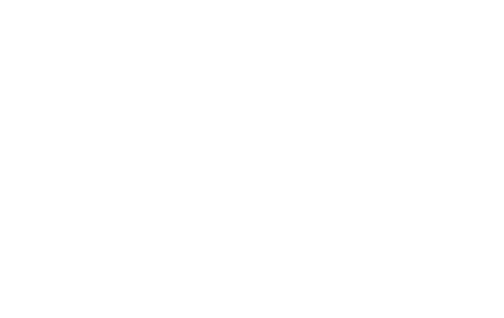 Logo ACES trans blanco scaled
