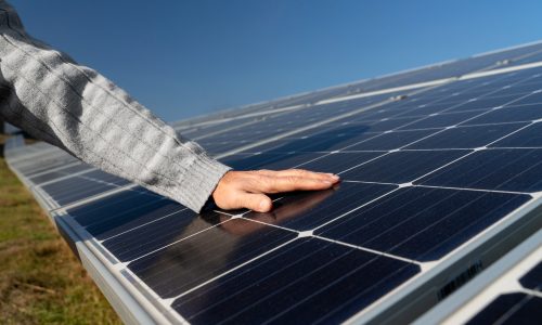 panel solar bifacial