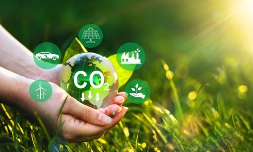 Consejos para reducir las emisiones de CO2 de tu negocio